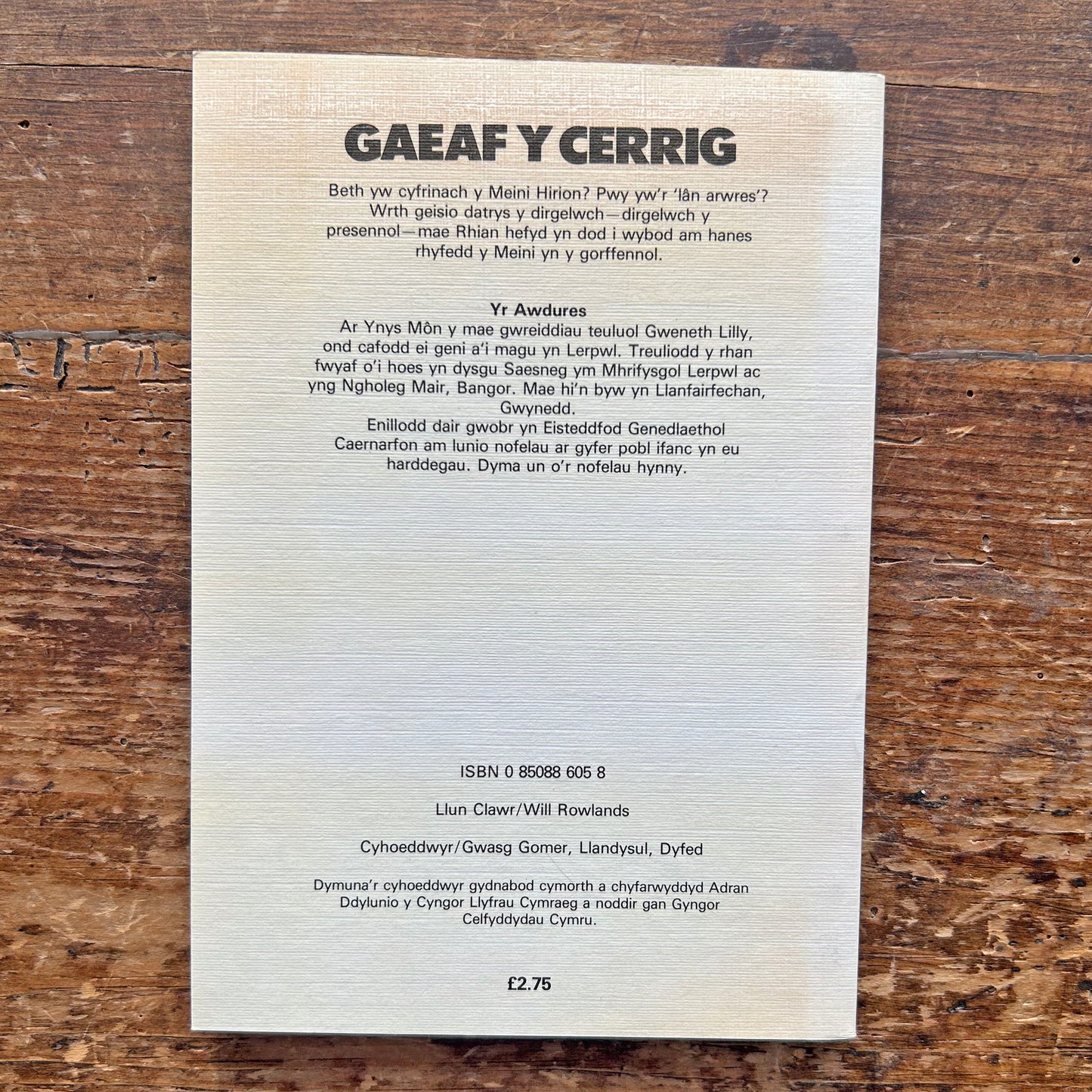 Gaeaf Y Cerrig - Gweneth Lilly 1981 (Preloved)