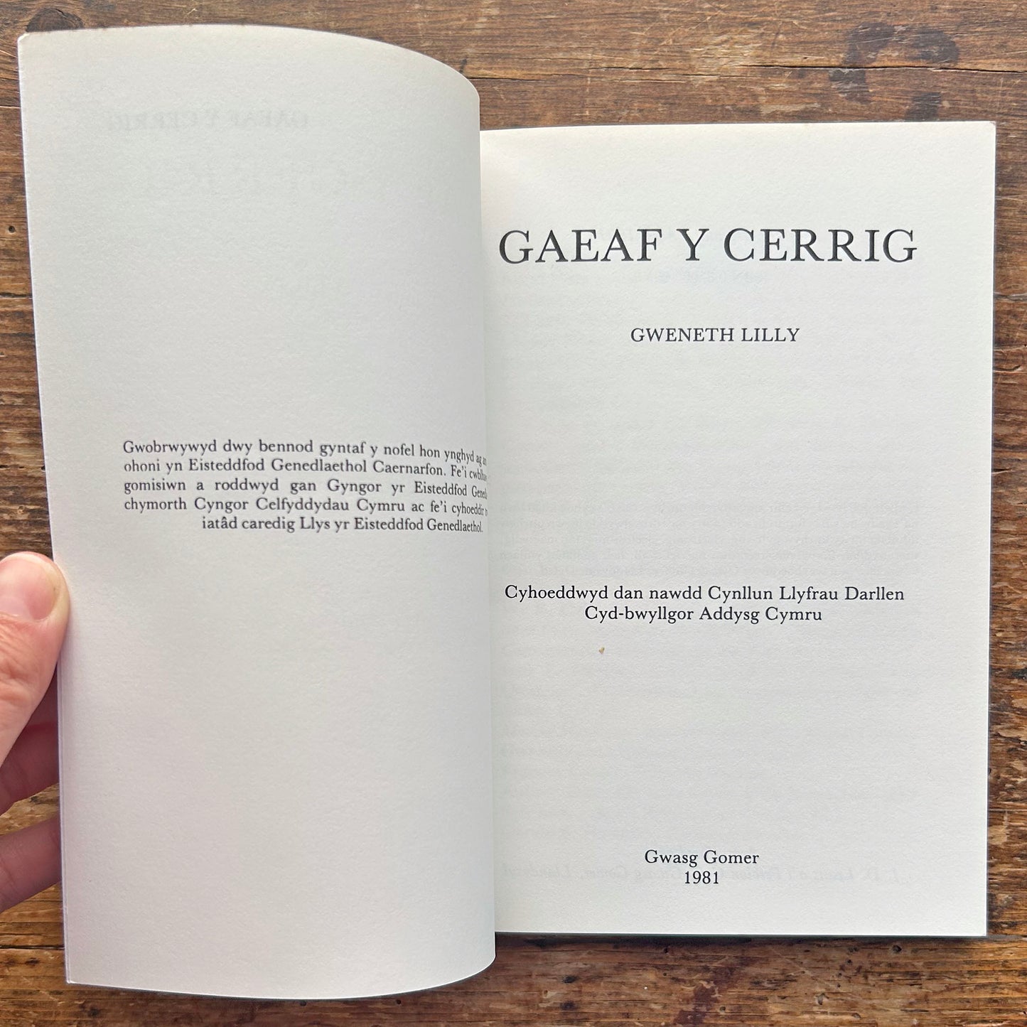 Gaeaf Y Cerrig - Gweneth Lilly 1981 (Preloved)