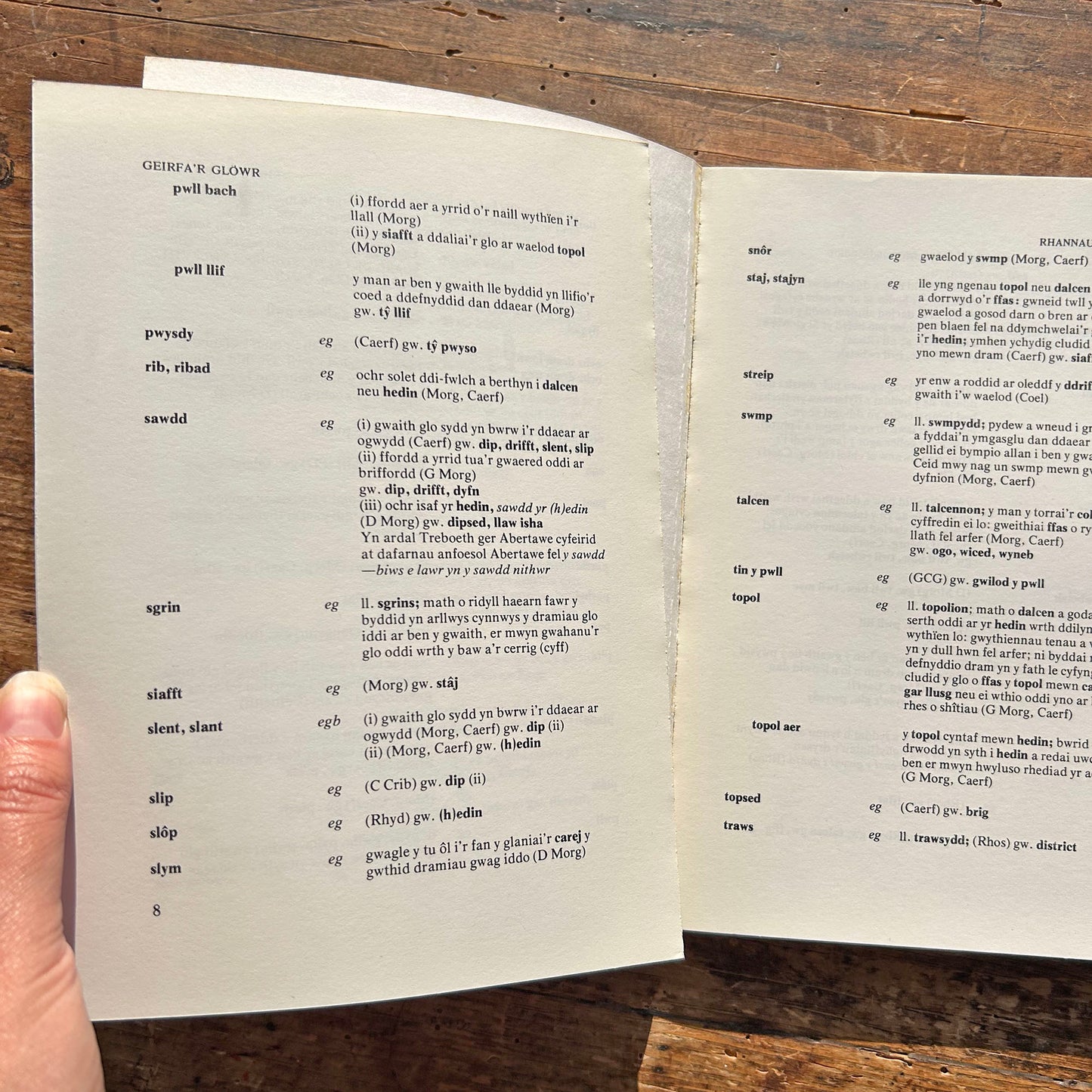 Geirfa'r Glowr / The Miner's Dictionary - Lynn Davies 1976 (Preloved)