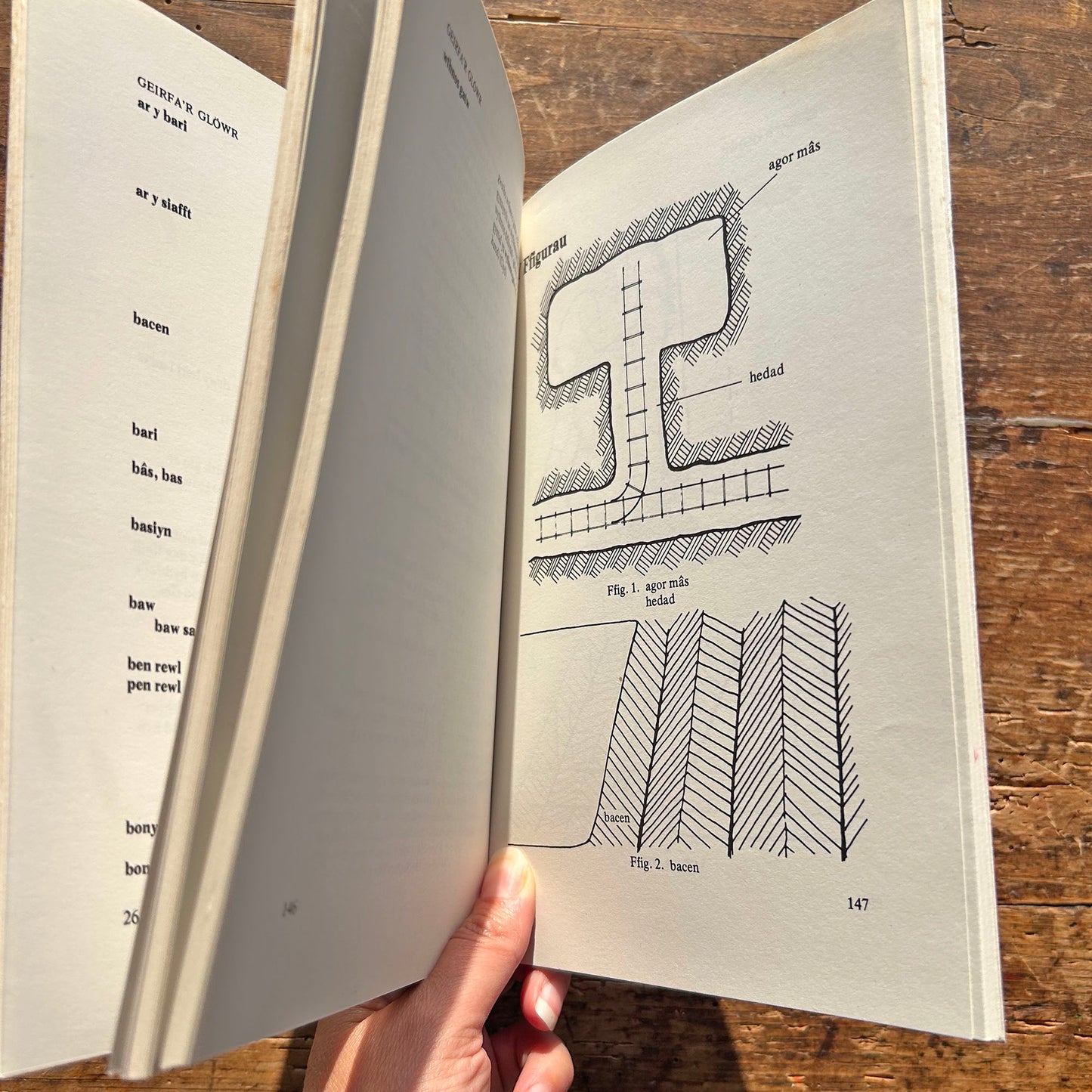 Geirfa'r Glowr / The Miner's Dictionary - Lynn Davies 1976 (Preloved)