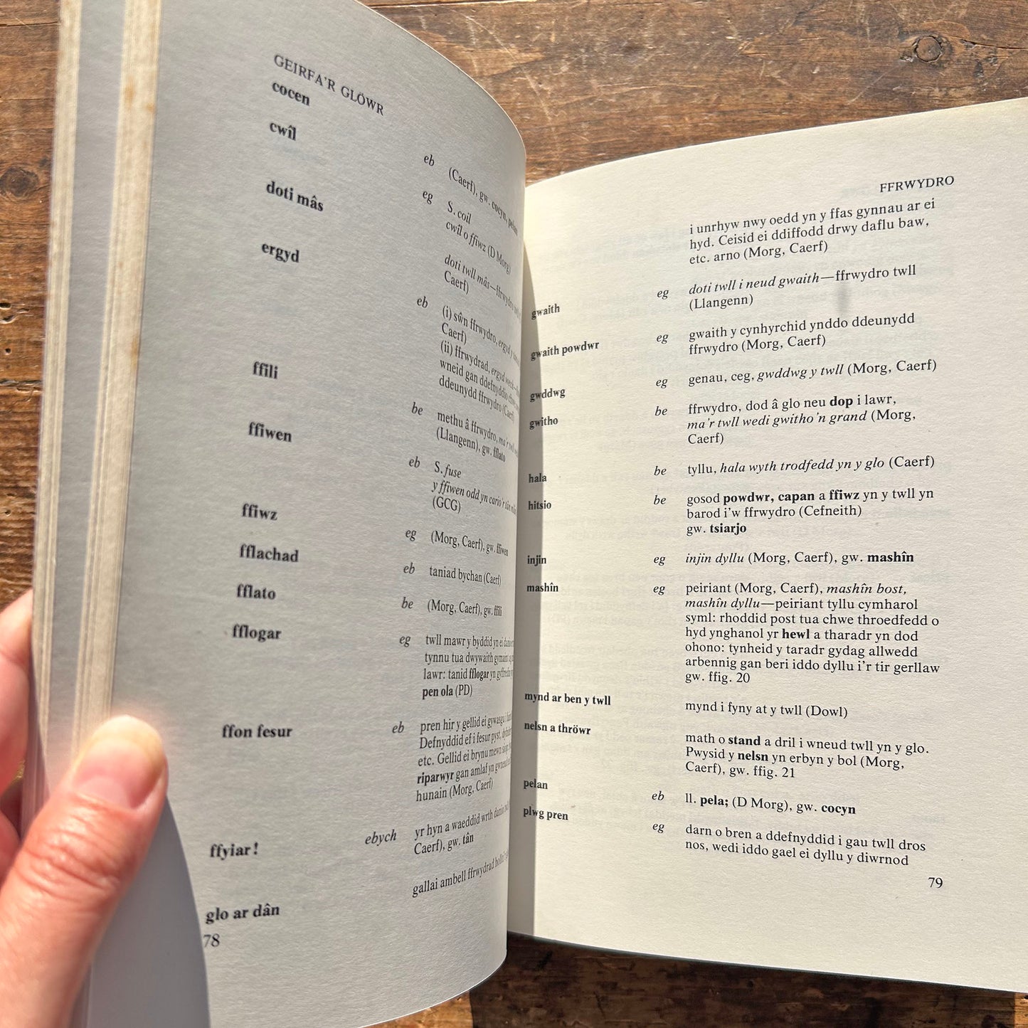Geirfa'r Glowr / The Miner's Dictionary - Lynn Davies 1976 (Preloved)