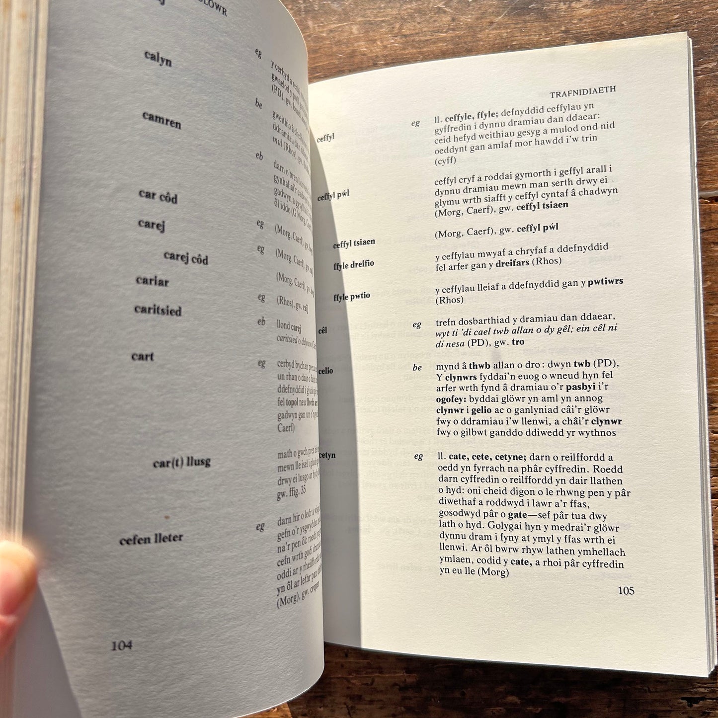 Geirfa'r Glowr / The Miner's Dictionary - Lynn Davies 1976 (Preloved)