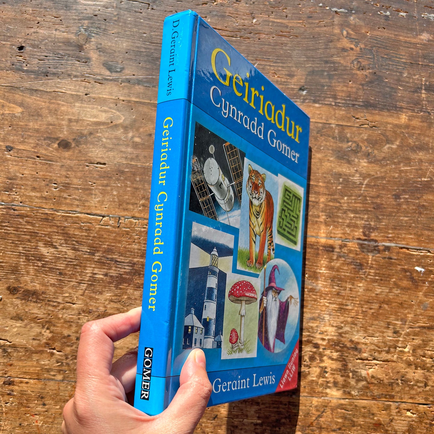 Geiriadur Cynradd Gomer - Primary Welsh Dictionary (Preloved)