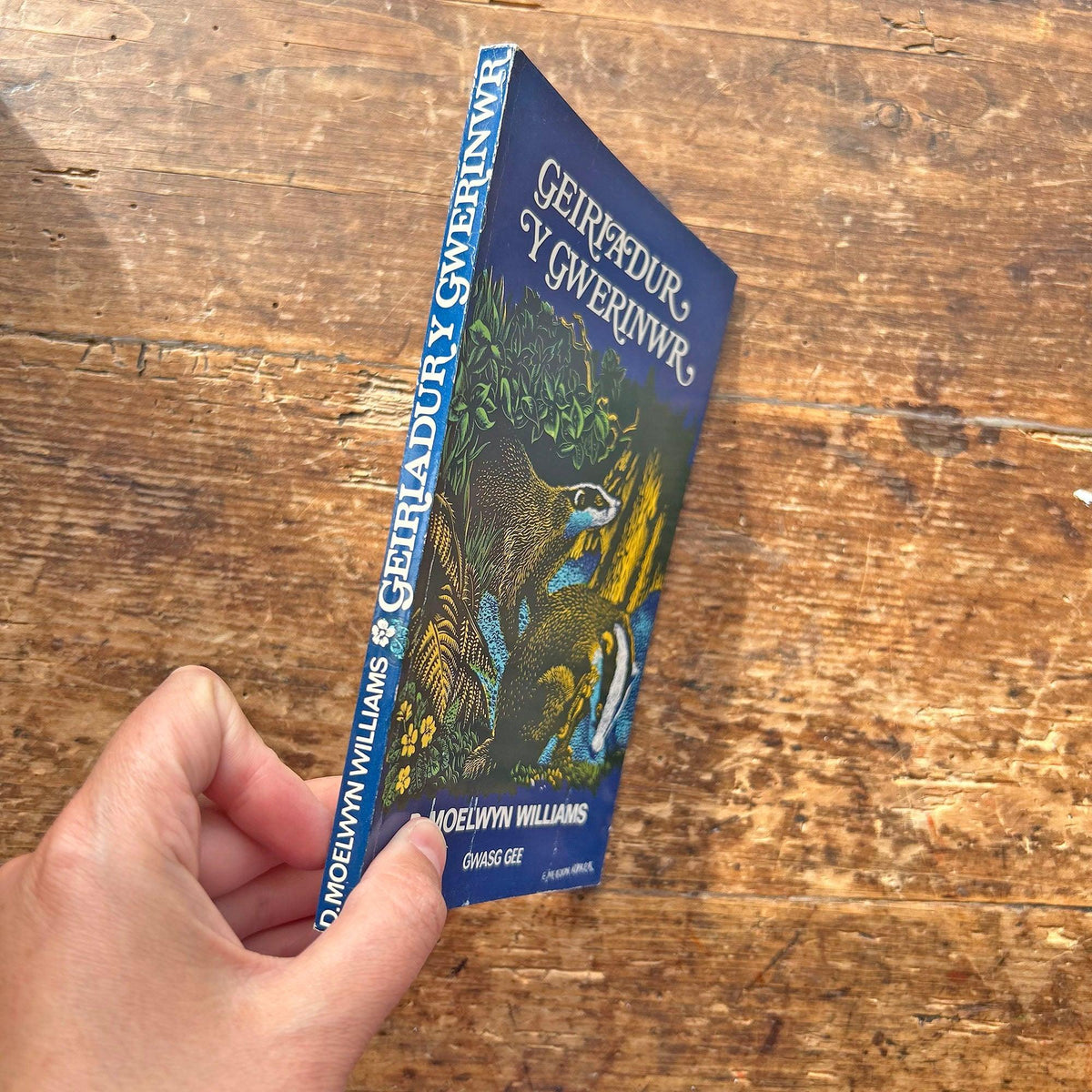 Geiriadur y Gwerinwr / Dictionary of Countryside - D. Moelwyn Williams 1975 (Preloved)