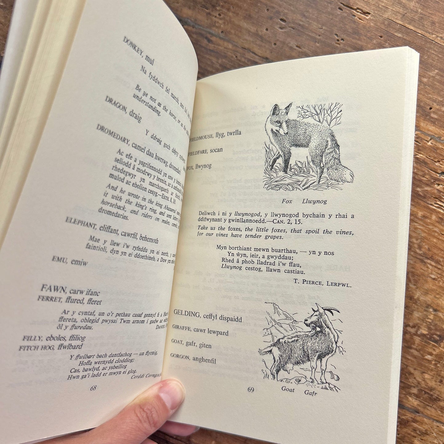 Geiriadur y Gwerinwr / Dictionary of Countryside - D. Moelwyn Williams 1975 (Preloved)