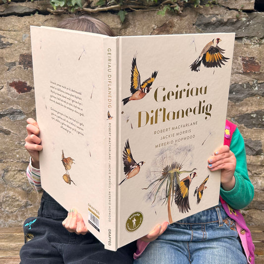 Storïau Hud Merlen - Fy Merlen Hedfan Hud - Llyfr Gwthio Tynnu Tro