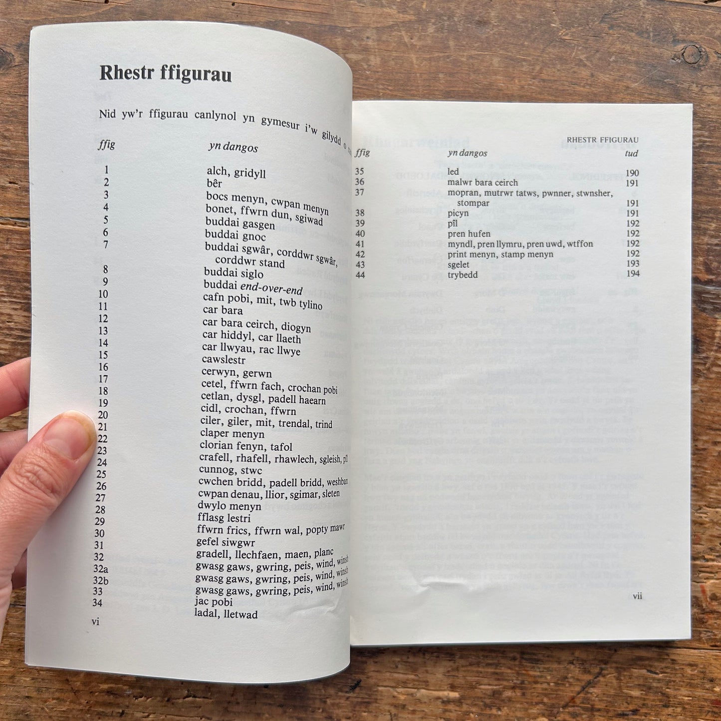 Gerirfa'r Gegin / Kitchen Vocabulary - S. Minwel Tibbott - 1983 (Preloved)