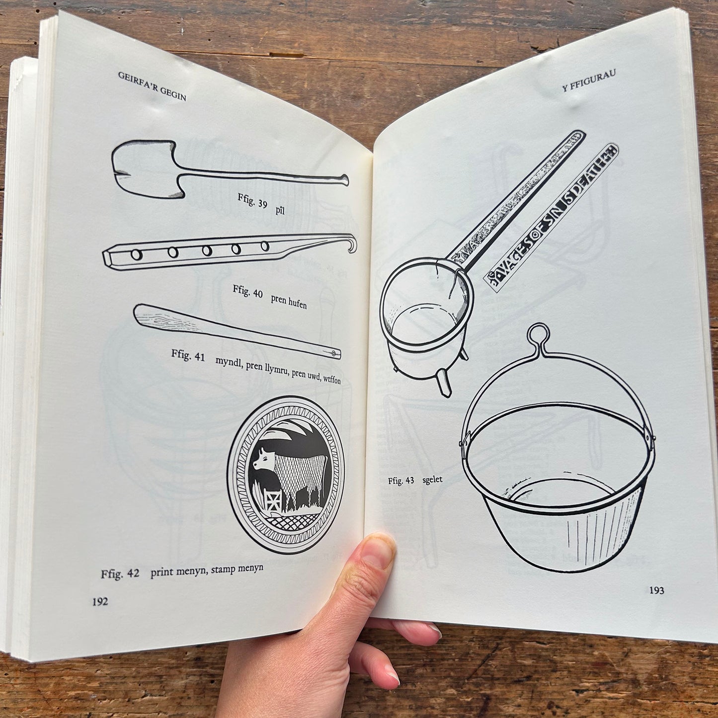 Gerirfa'r Gegin / Kitchen Vocabulary - S. Minwel Tibbott - 1983 (Preloved)