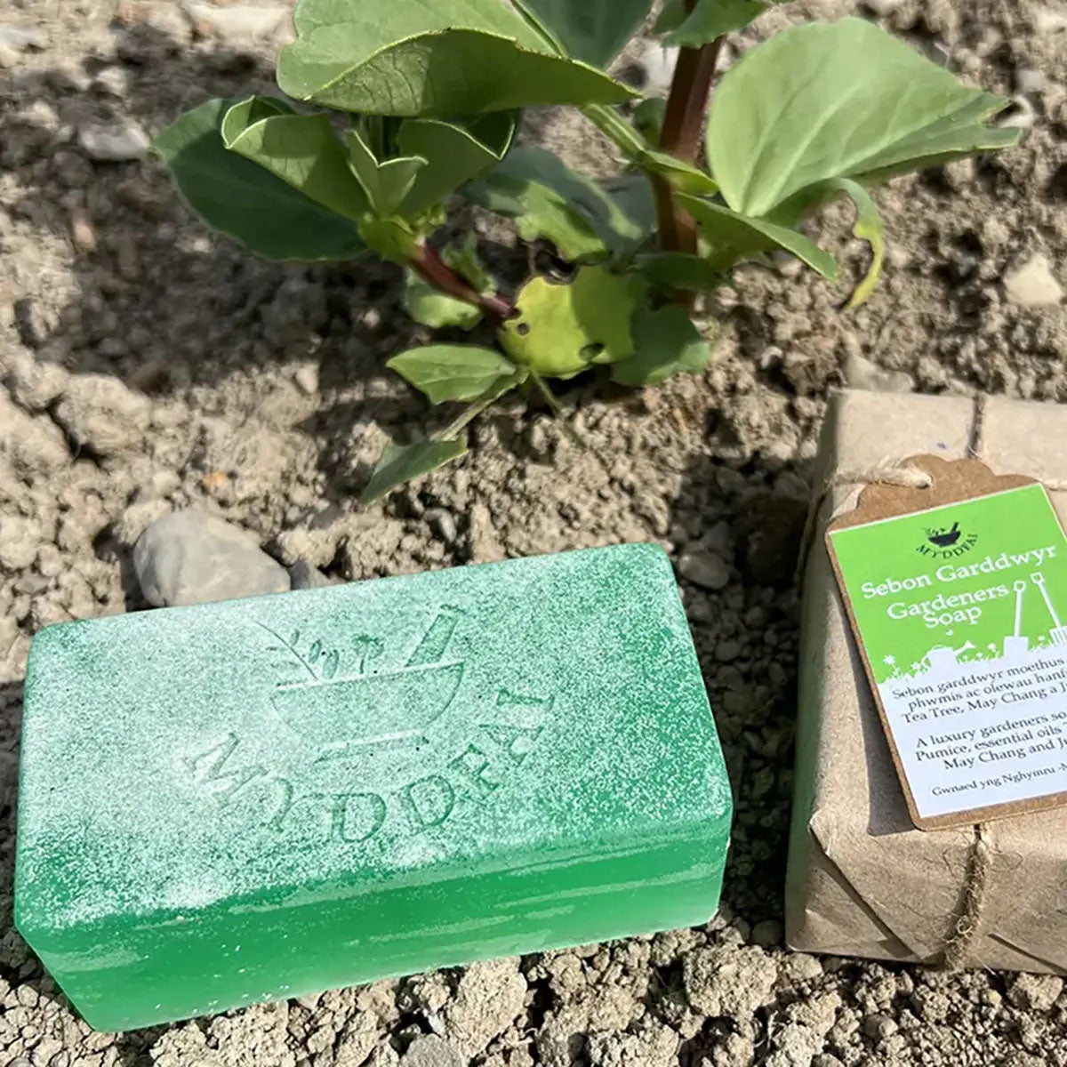 Gift Set - Myddfai - Gardeners Soap & Nail Brush