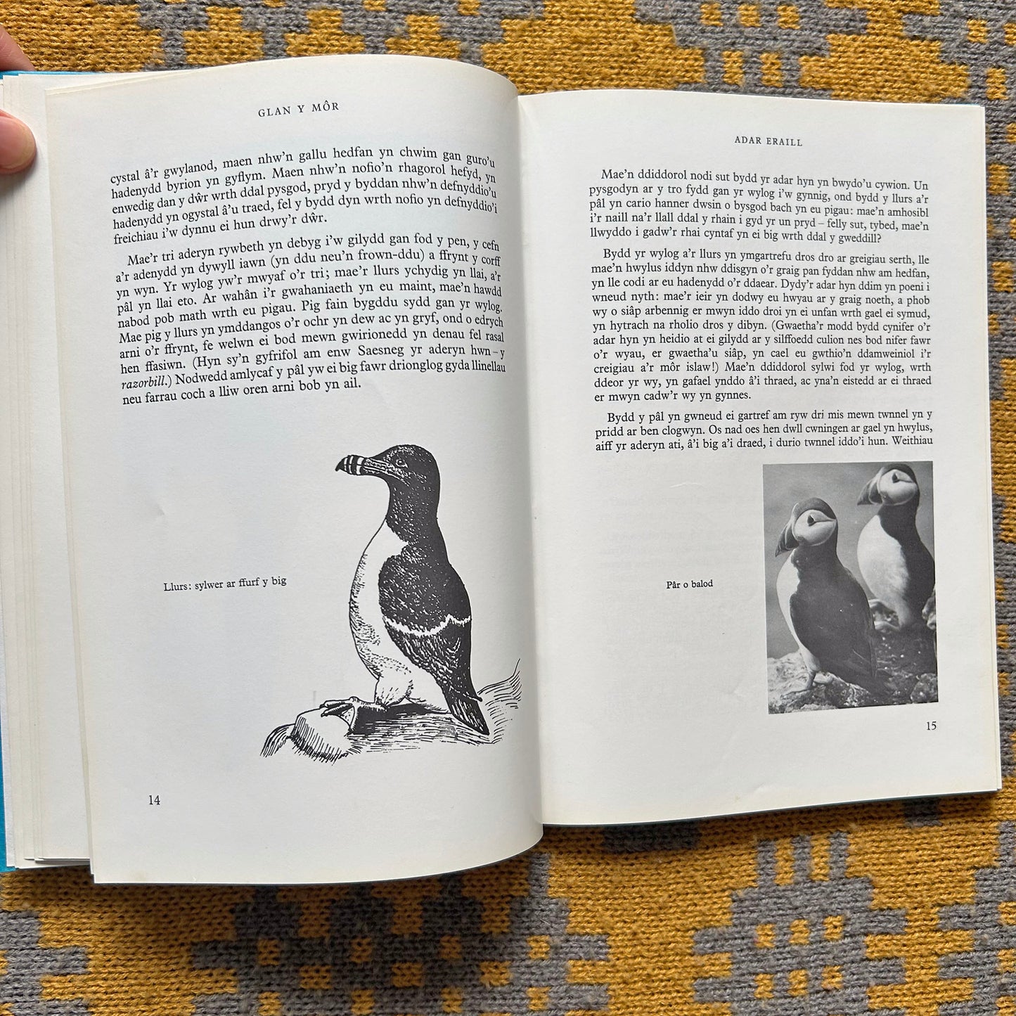 Glan y Mor - The Seaside Nature Book - 1972 (Preloved)