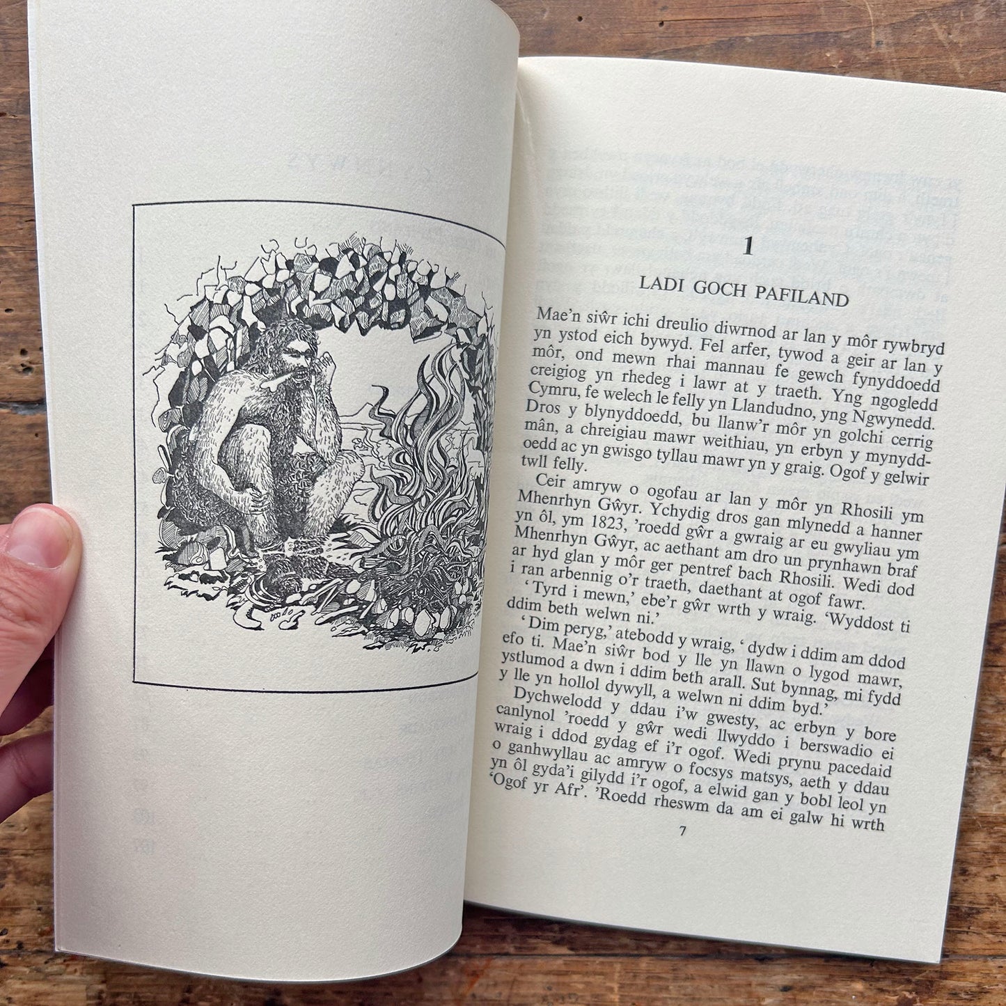 Glewion Ein Gwlad - Llewelyn Williams (Preloved)
