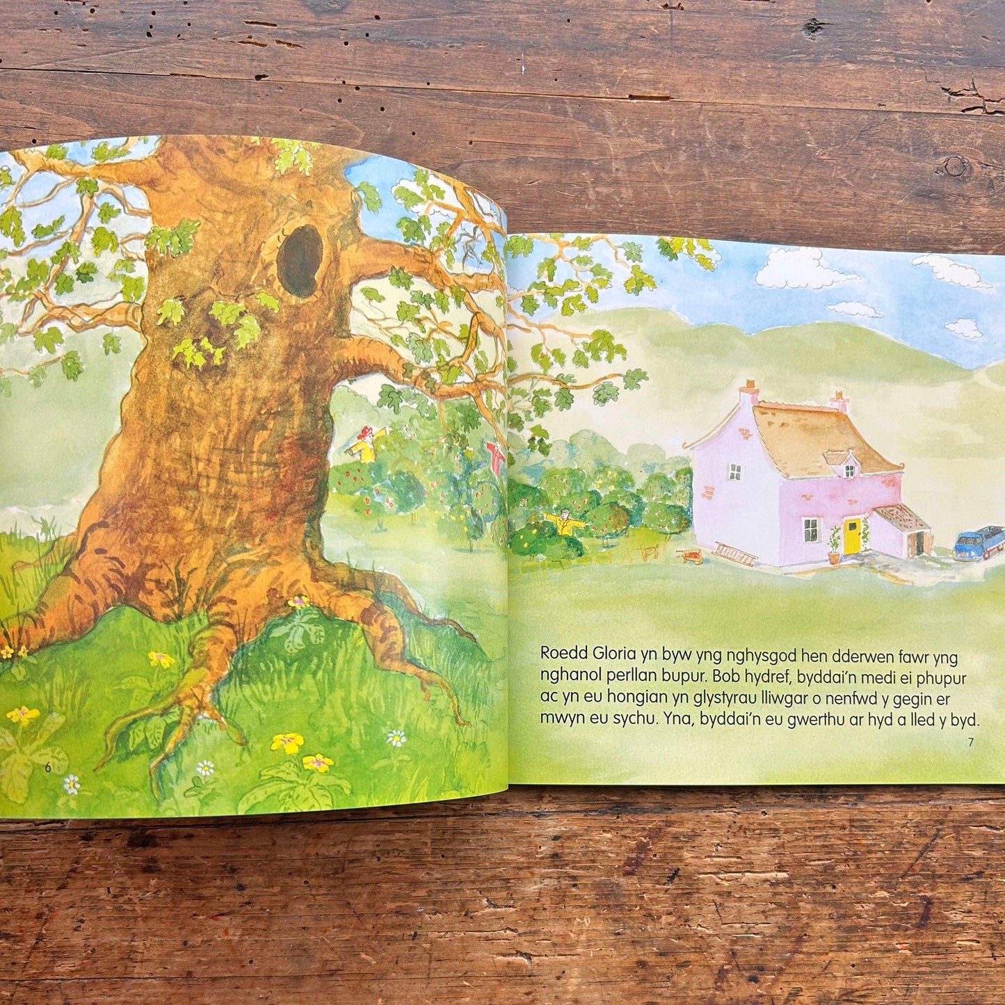 Gloria a'r Berllan Bupur - David Greenslade (Preloved)