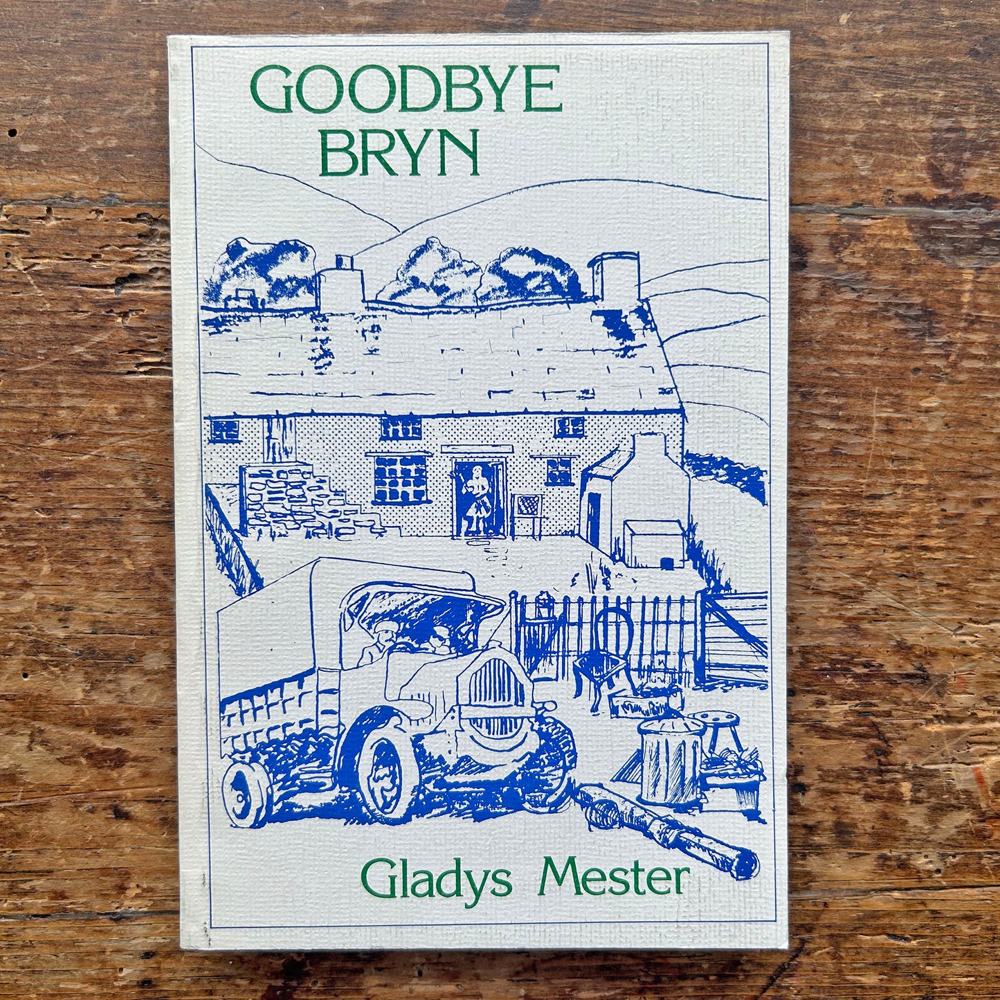 Goodbye Bryn - Gladys Mester - 1984 (Preloved)