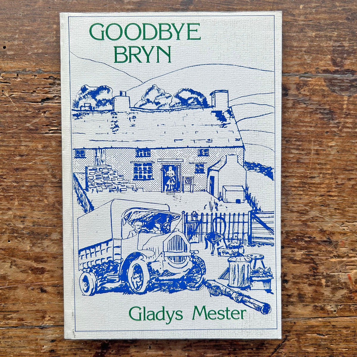 Goodbye Bryn - Gladys Mester - 1984 (Preloved)