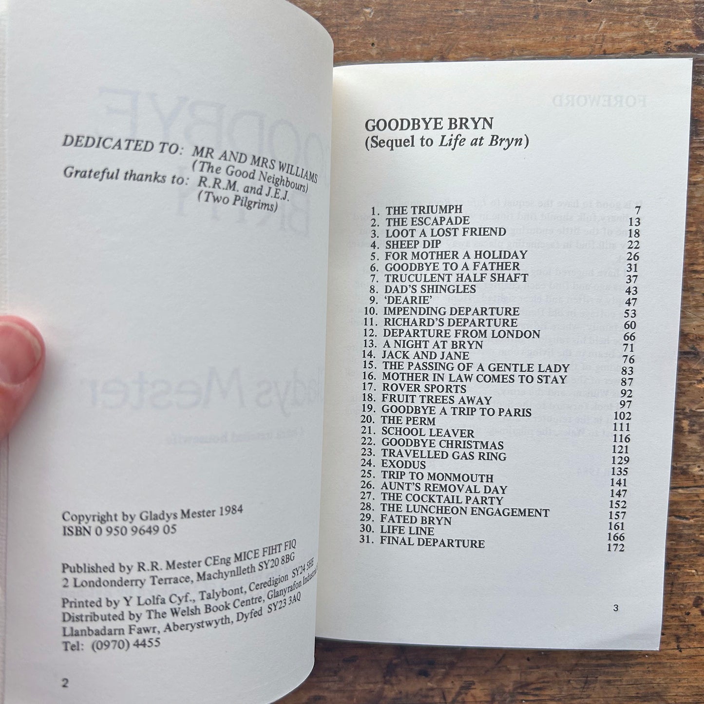 Goodbye Bryn - Gladys Mester - 1984 (Preloved)