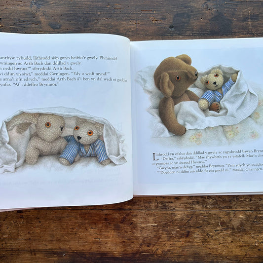 Gwdihŵ / Hoot - Jane Hissey (Preloved)