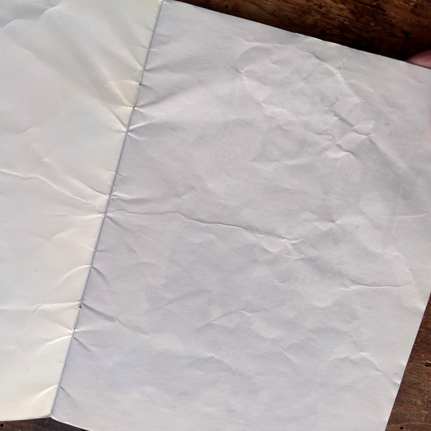 Gwên Caradog y Crocodeil - Anne Parry Jones 1990 (Preloved)