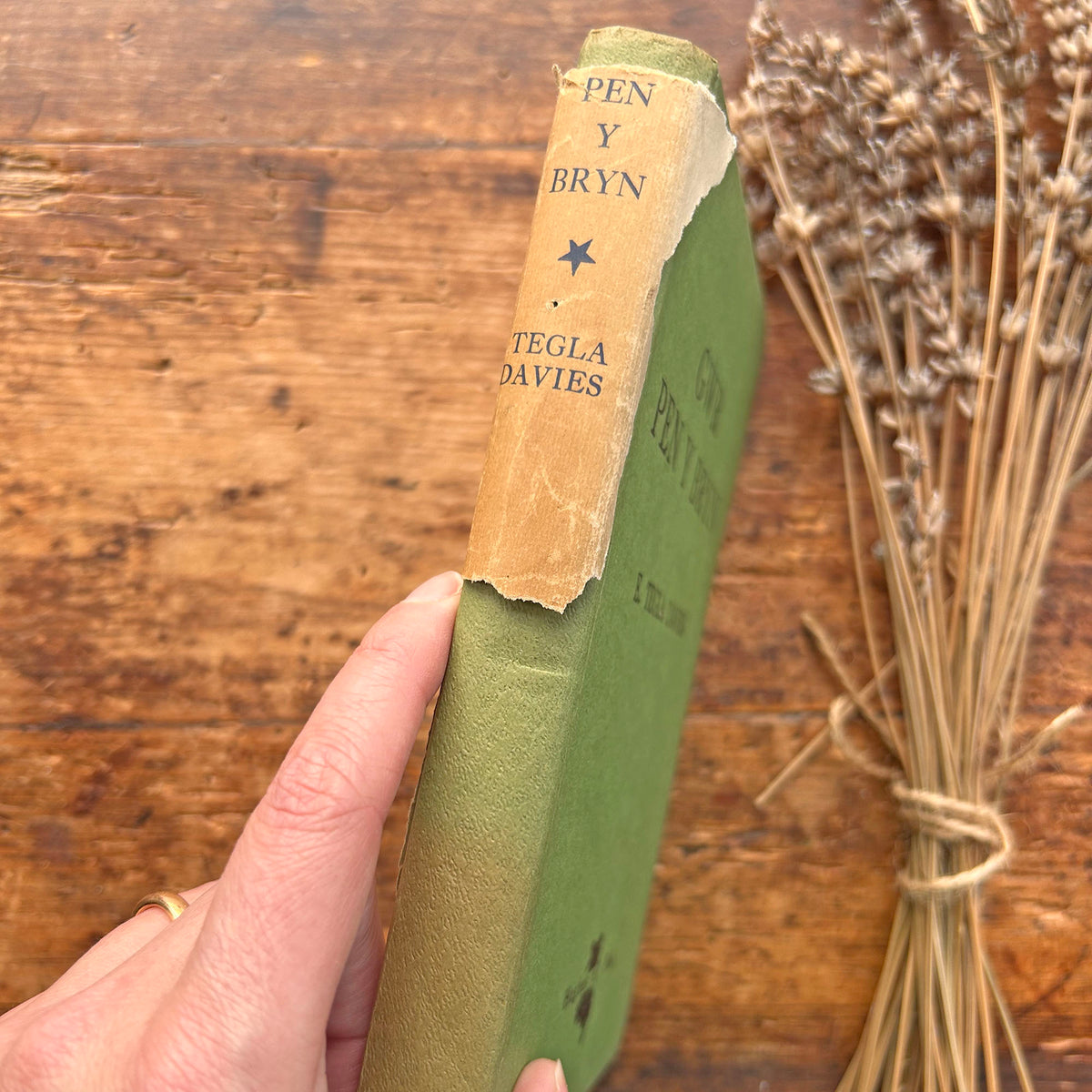 Nedw - E. Tegla Davies - Byrddau Glas - 1922 (Wedi'i ail-law)
