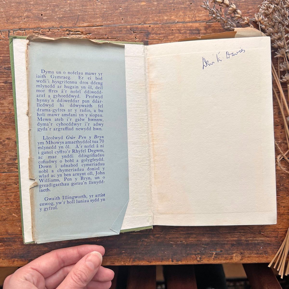 Nedw - E. Tegla Davies - Byrddau Glas - 1922 (Wedi'i ail-law)