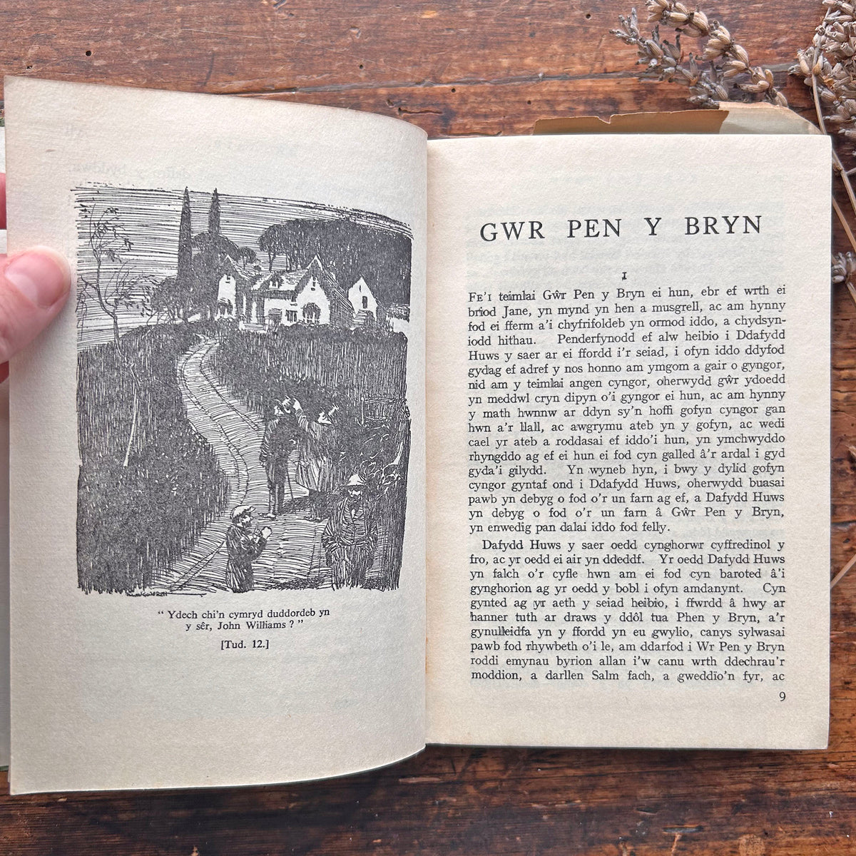 Nedw - E. Tegla Davies - Byrddau Glas - 1922 (Wedi'i ail-law)