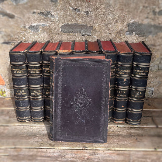 Gwyddoniadur Cymreig - Welsh Encyclopedia - Full Collection I-X - 1858 (Preloved Auction)