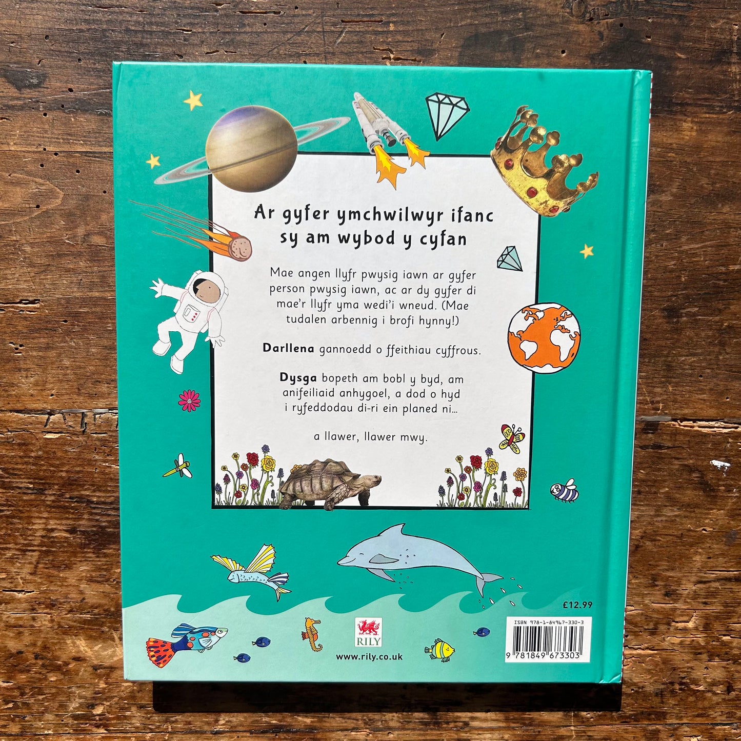 Gwyddoniadur y Pethau Pwysig Iawn / Encyclopedia of Very Important Things (Preloved)