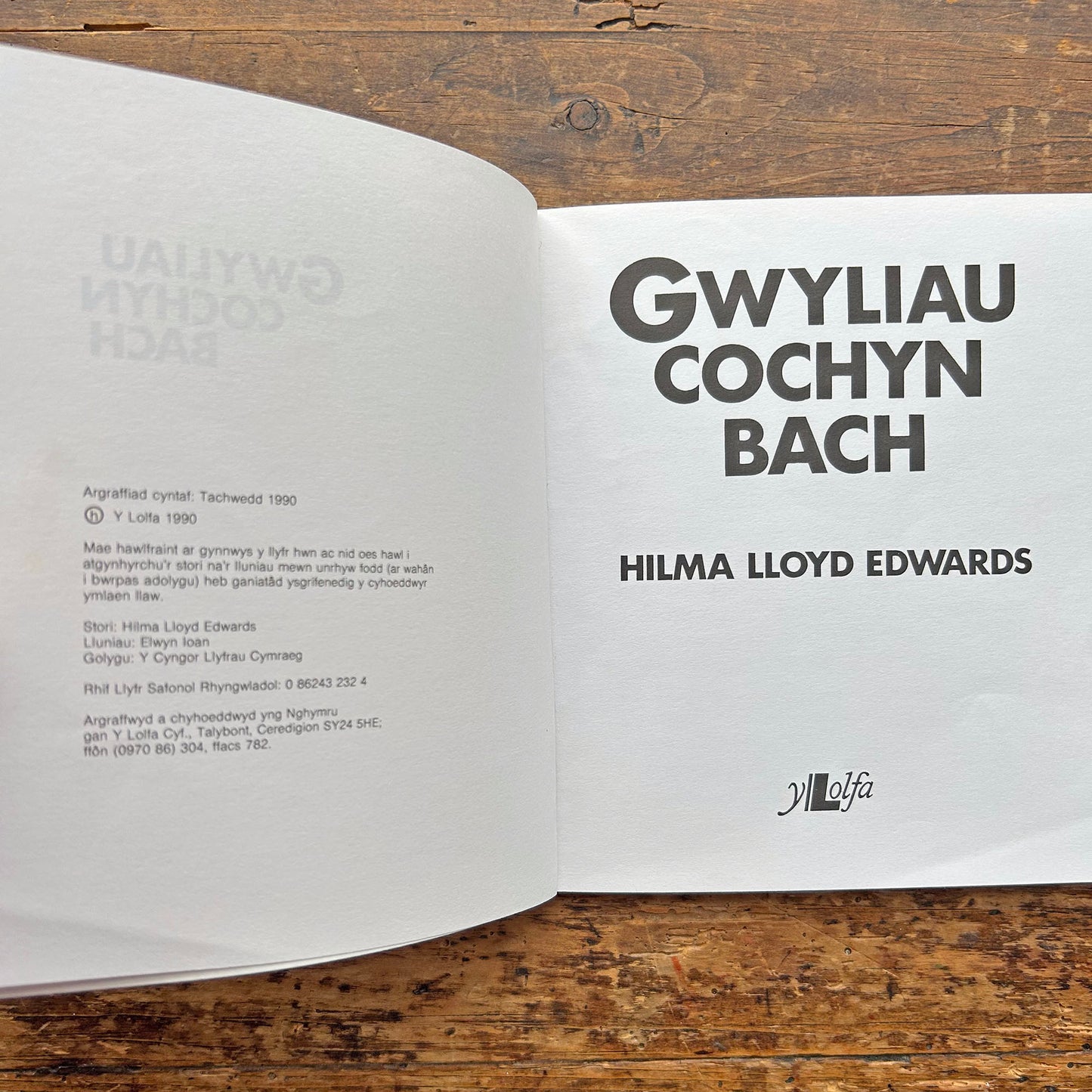Gwyliau Cochyn Bach (Preloved)