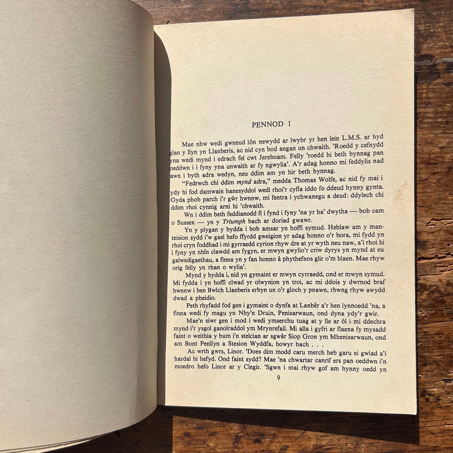 Gwynt I Oen - Nofel Gan John E. Williams - 1976 1st Edition (Preloved)