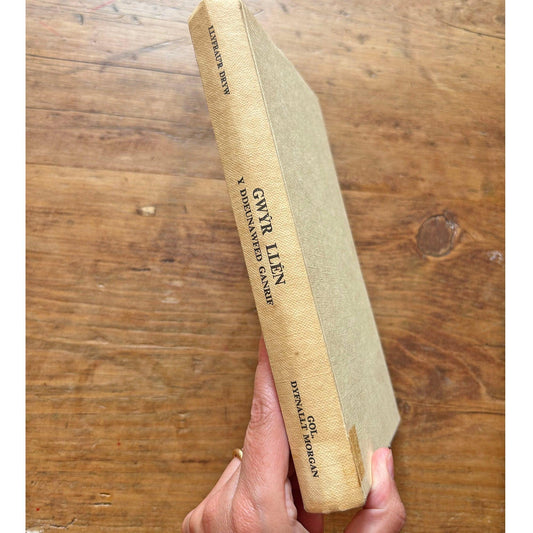 Gwyr Llen - Y Ddeunawfed Gantrif (Preloved)