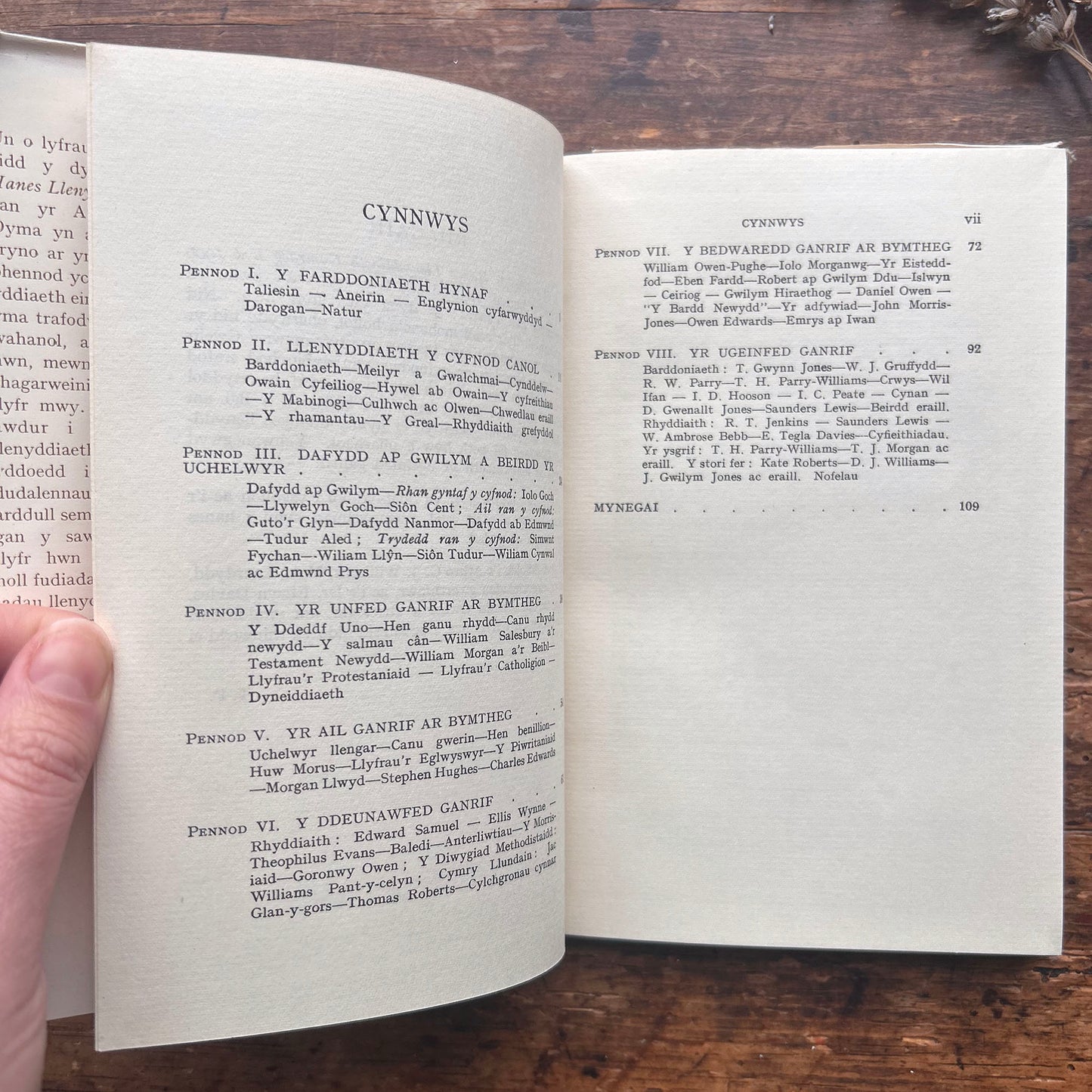 Hanes ein Llên - Thomas Parry - 1948 (Preloved)