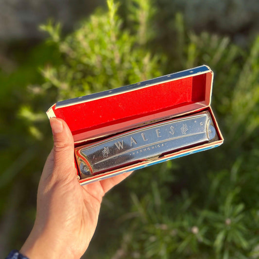Harmonica - Wales - Boxed - Vintage (Preloved)