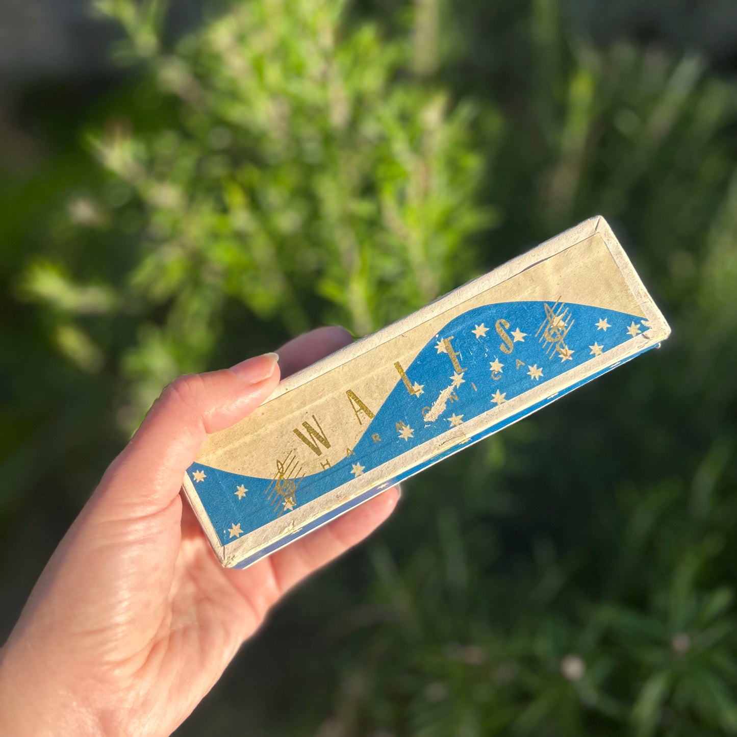 Harmonica - Wales - Boxed - Vintage (Preloved)