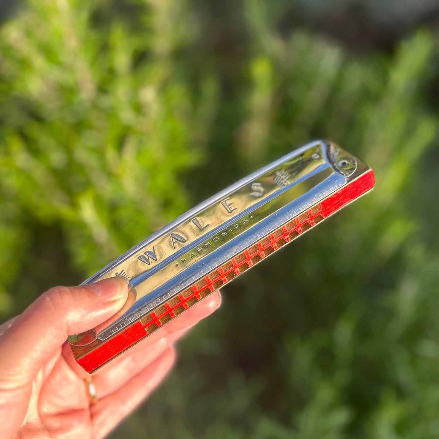 Harmonica - Wales - Boxed - Vintage (Preloved)