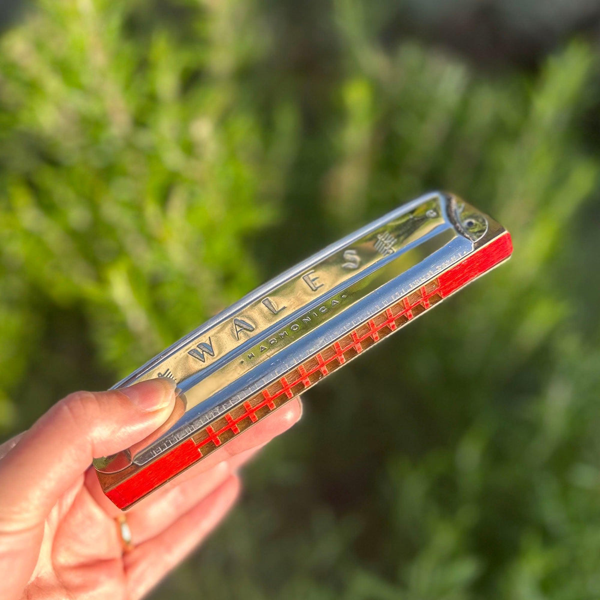 Harmonica - Wales - Boxed - Vintage (Preloved)