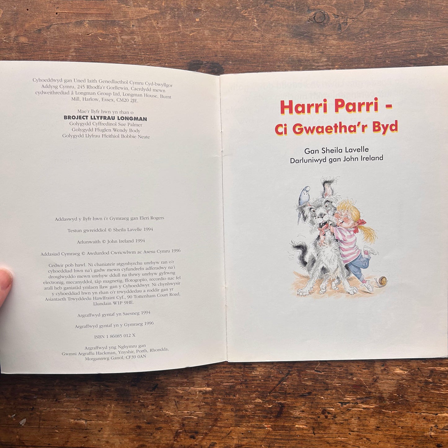 Harri Parri - Ci Gwaetha'r Byd - 1996 (Preloved)