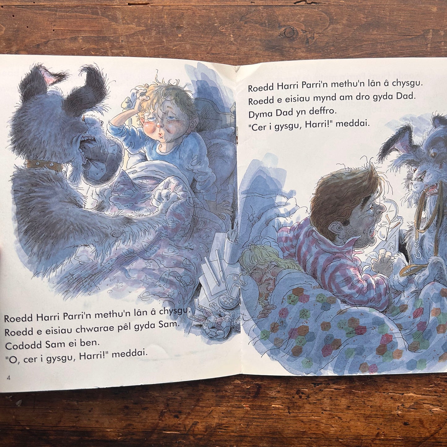 Harri Parri - Deffra! 1996 (Preloved)