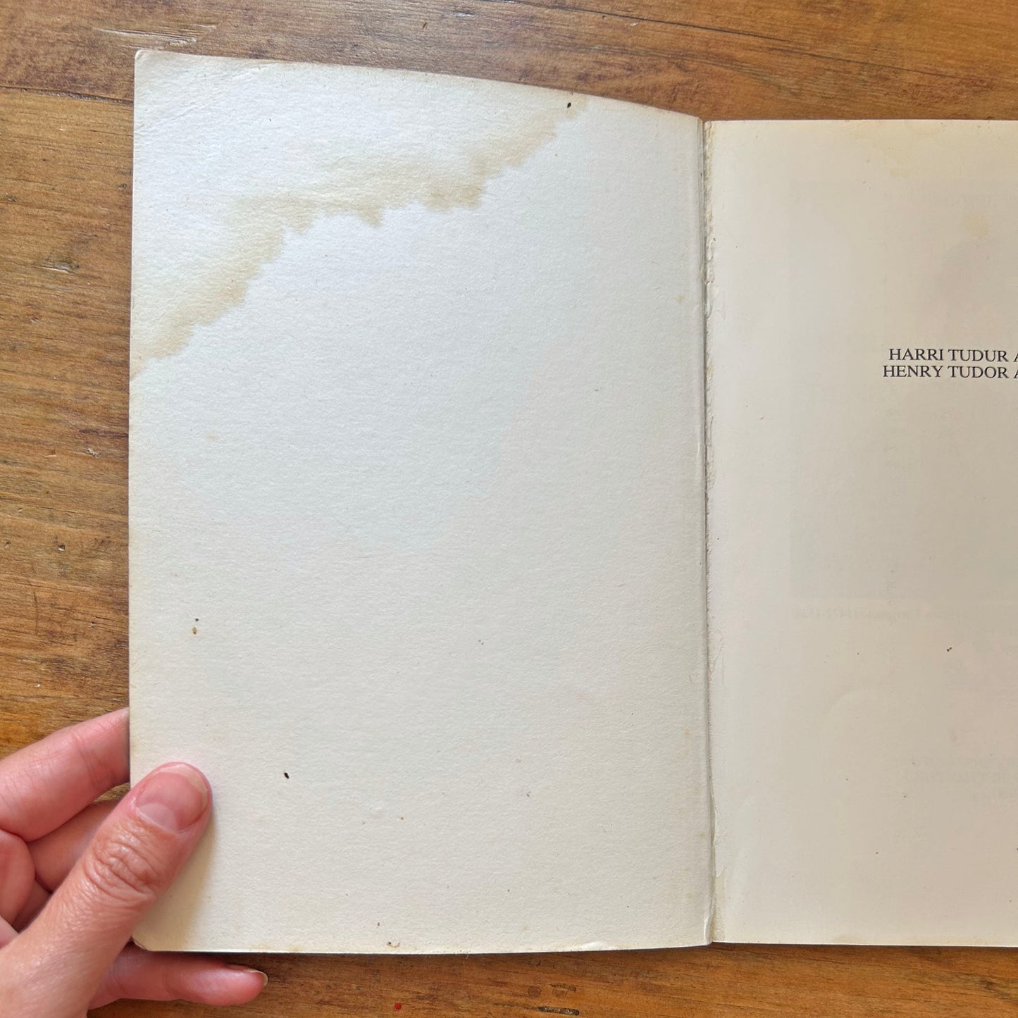 Harri Tudur a Chymru / Harri Tudur a Chymru (Preloved)