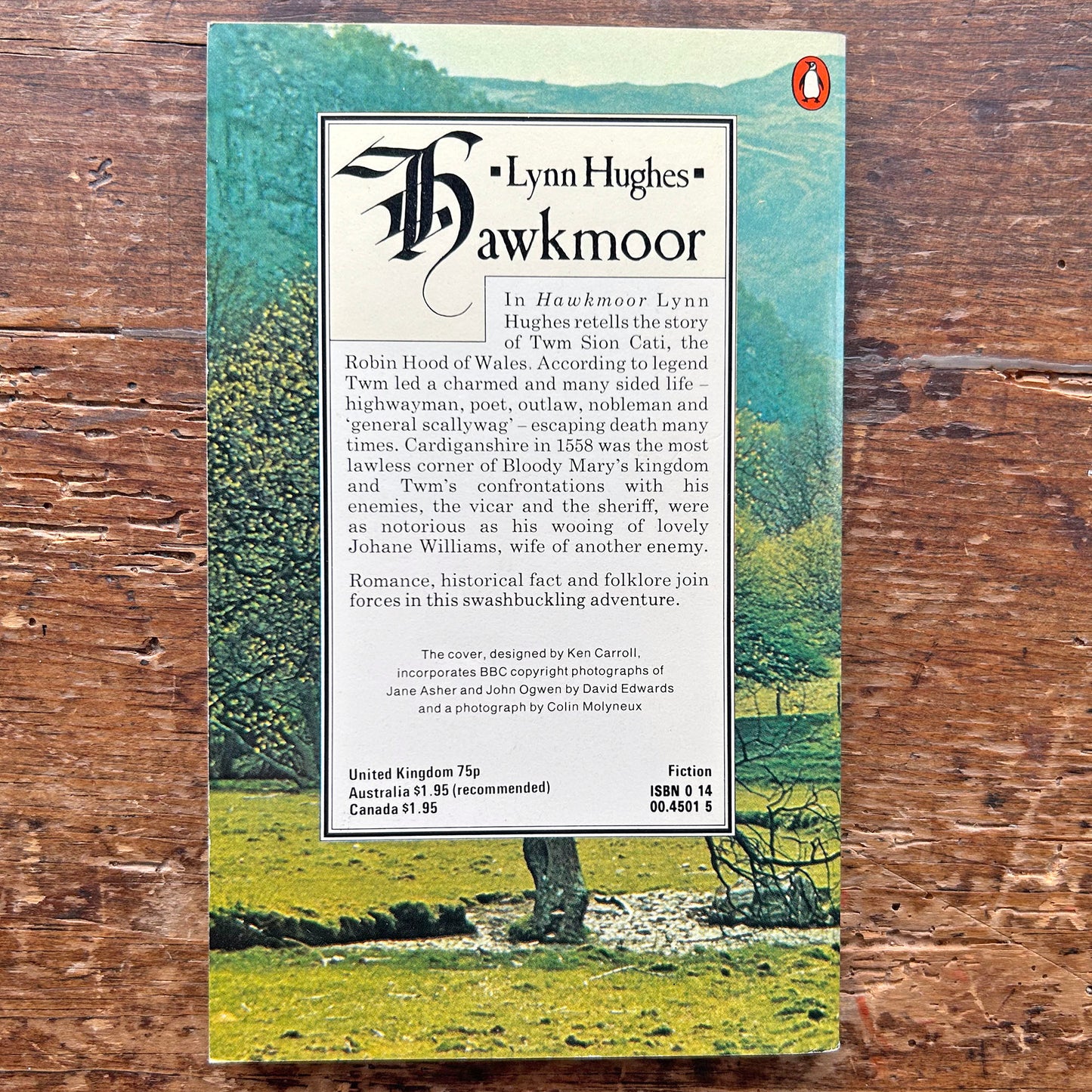 Hawkmoor - Twm Sion Cati - Lynn Hughes (Preloved)
