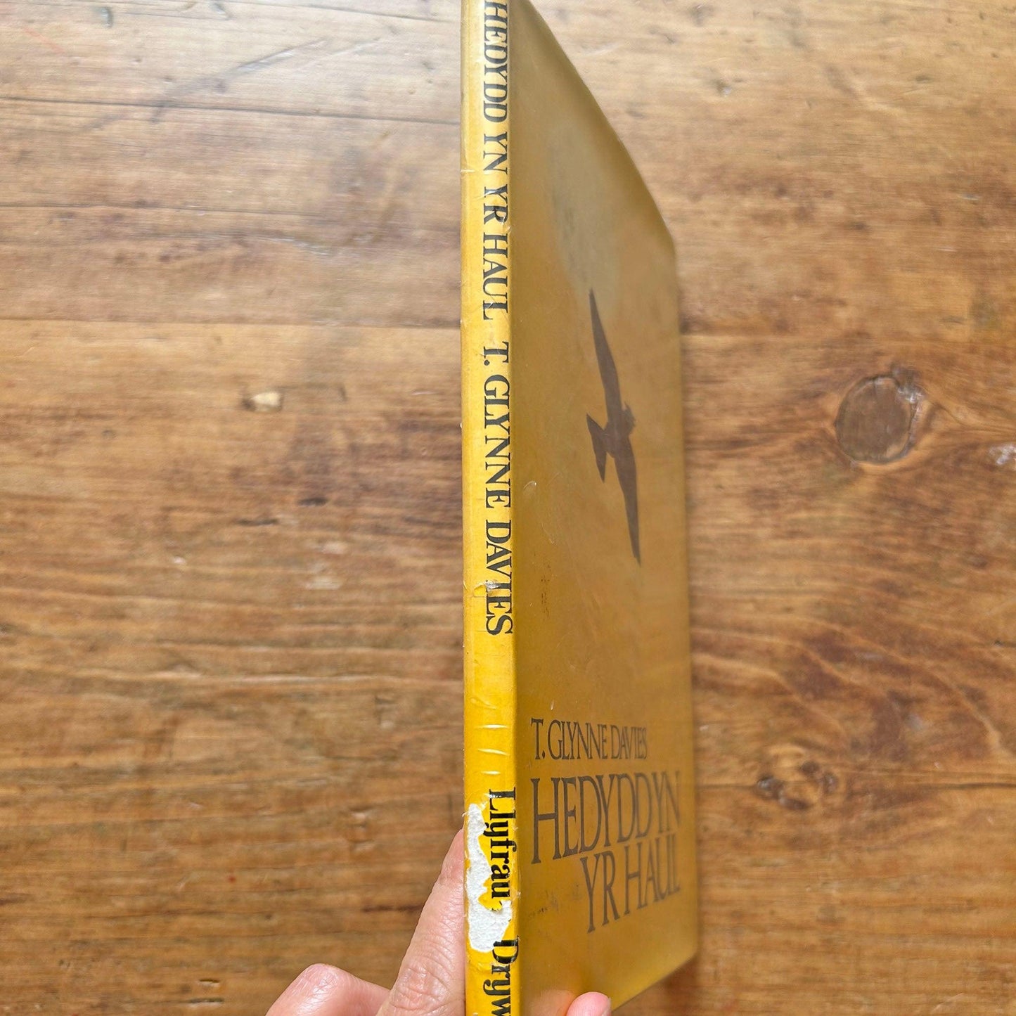 Hedyddyn yn yr Haul - Poetry - T. Glynne Davies (Preloved)