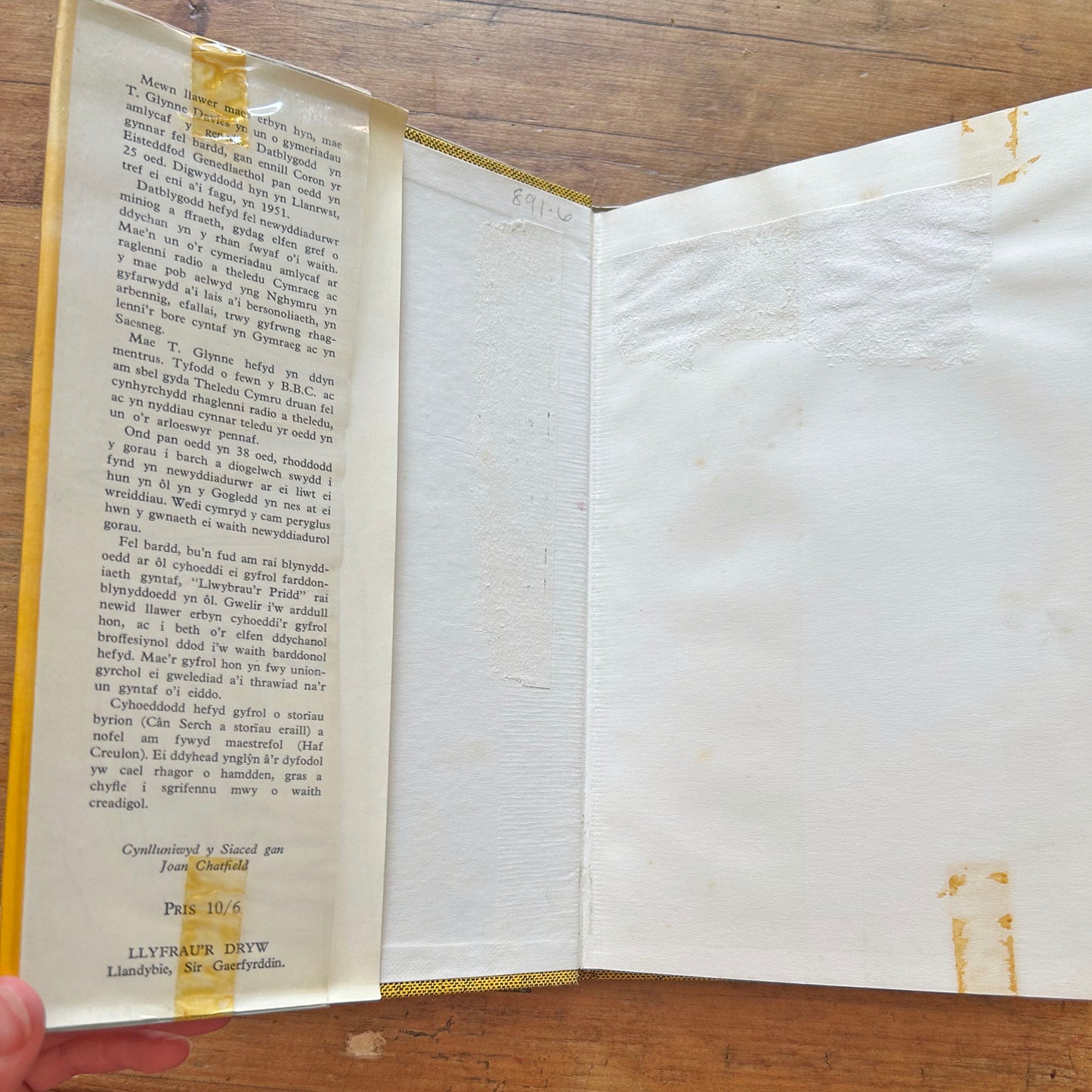 Hedyddyn yn yr Haul - Poetry - T. Glynne Davies (Preloved)
