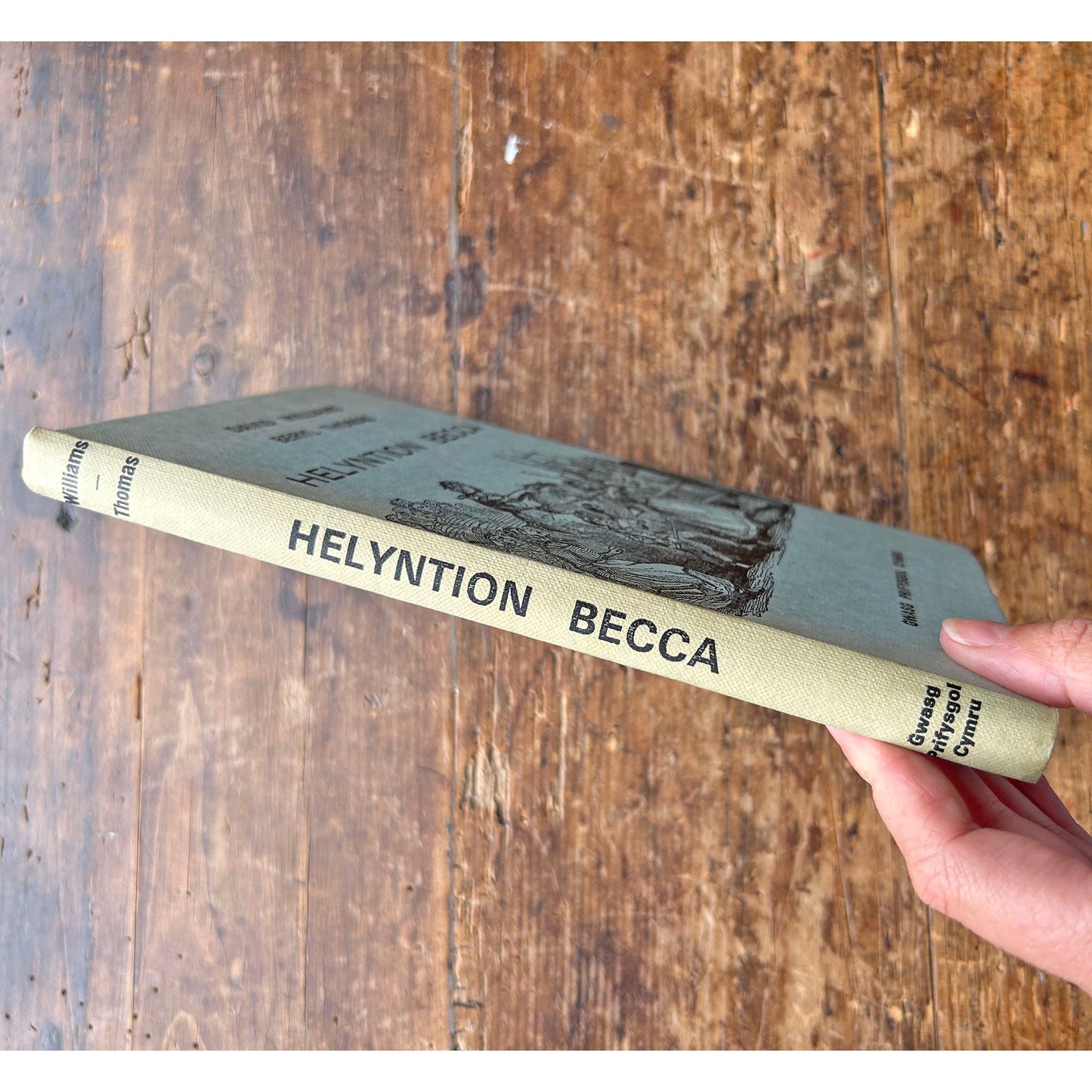 Helyntion Becca – Rebecca Riots - 1974 (Preloved)