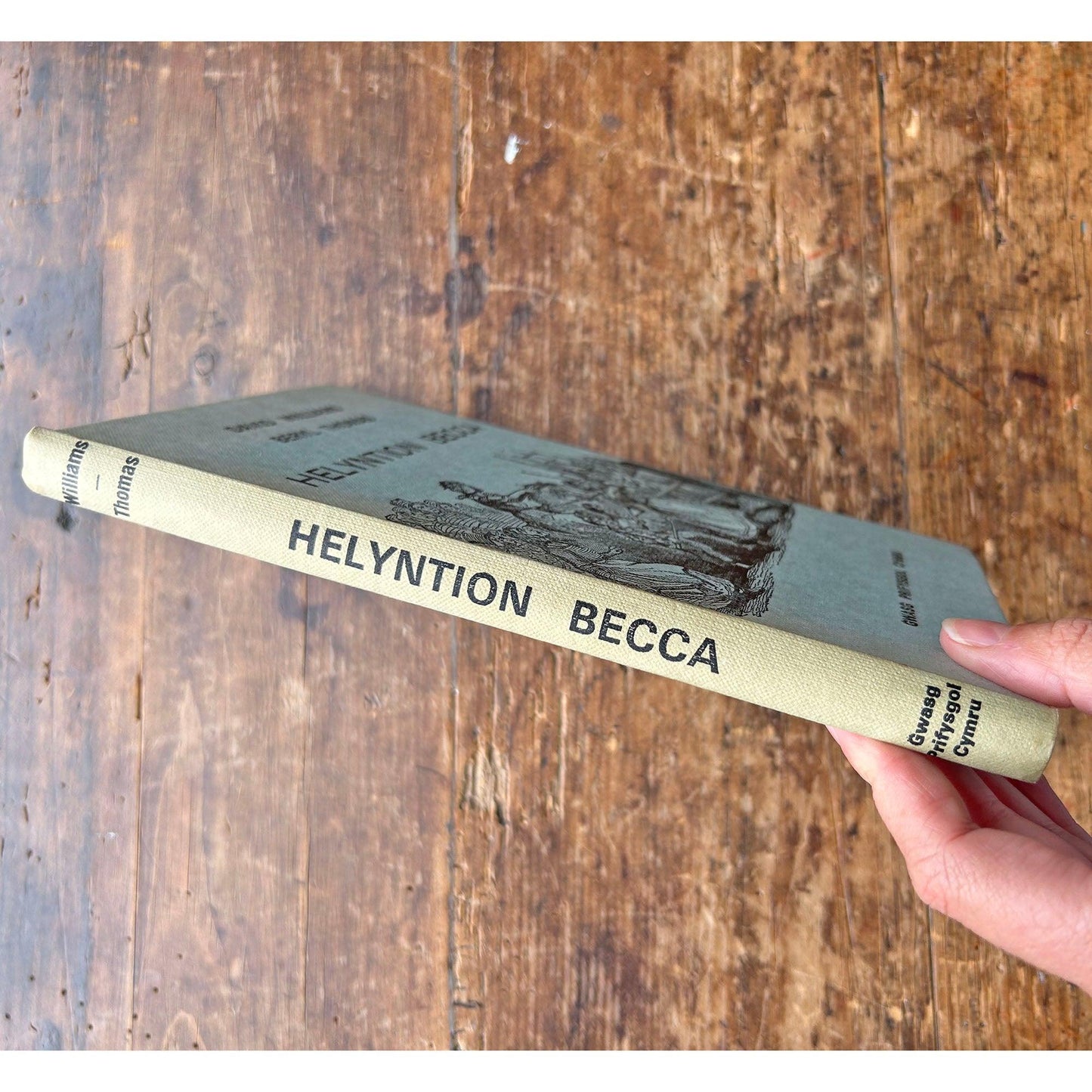 Helyntion Becca – Rebecca Riots - 1974 (Rhag-gariad)