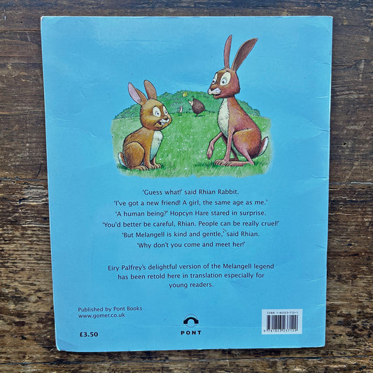 Hiding Hopcyn - Legend from mid-Wales - Eiry Palfrey (Preloved)