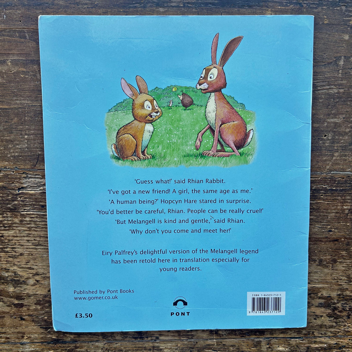 Hiding Hopcyn - Legend from mid-Wales - Eiry Palfrey (Preloved)
