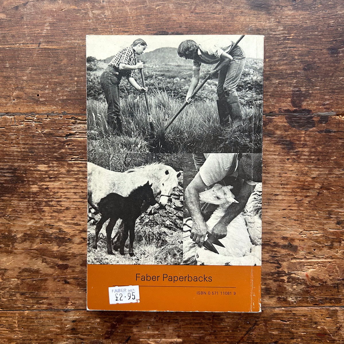 Stori Fferm y Bryn - Ruth Janette Ruck 1966 Argraffiad 1af (Wedi'i garu ymlaen llaw)