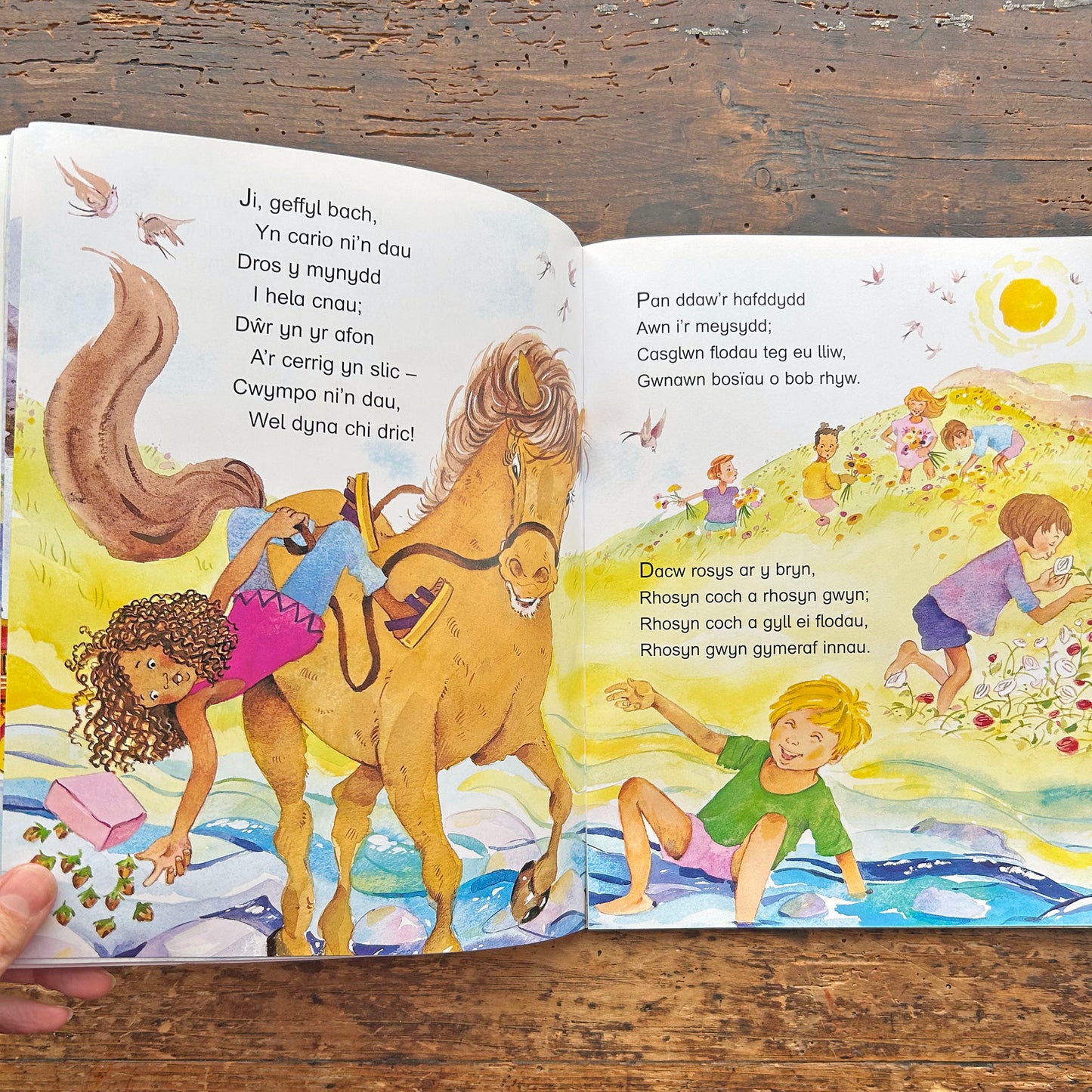 Hoff Hwiangerddi - Favourite Welsh Nursery Rhymes (Preloved)