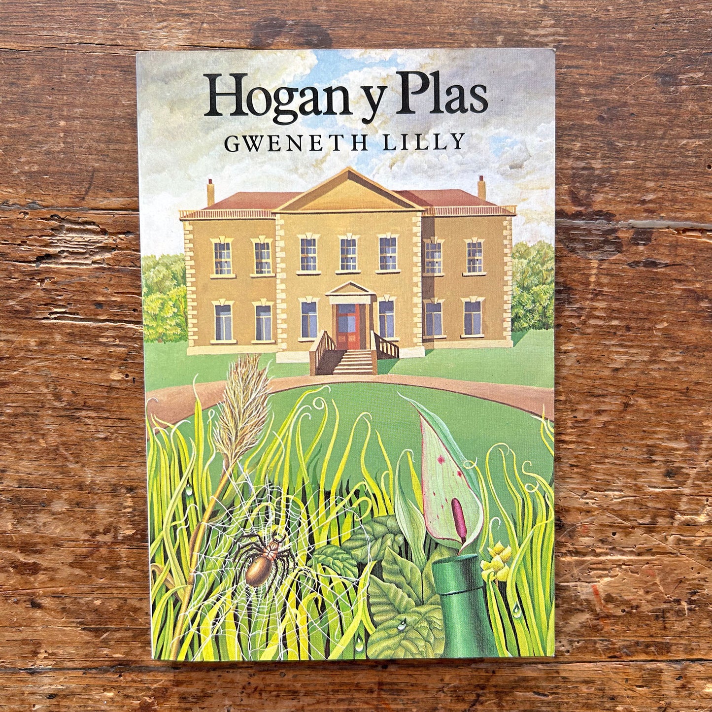 Hogan y Plas - Gweneth Lilly - Ghost Story (Preloved)