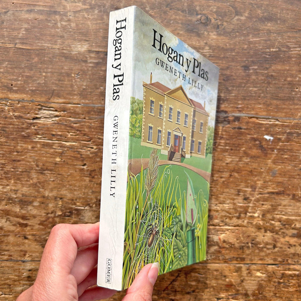 Hogan y Plas - Gweneth Lilly - Ghost Story (Preloved)