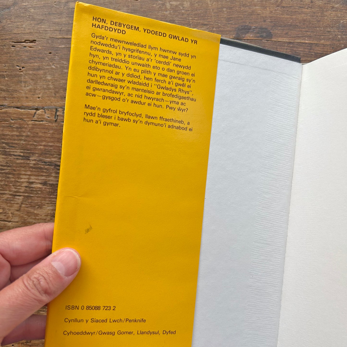 Hon, debygem, ydoedd Gwlad yr Hafddydd - Jane Edwards (Preloved)
