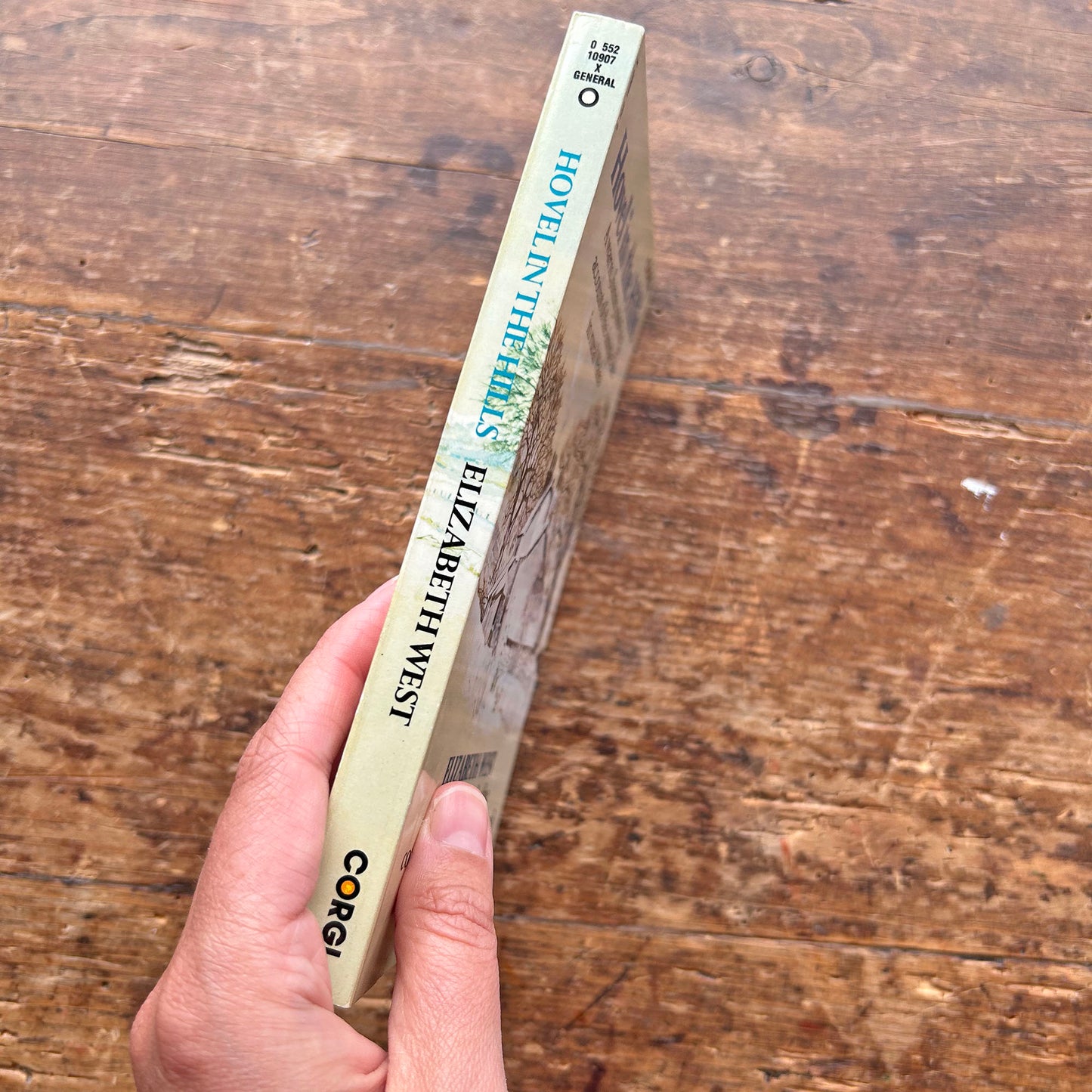 Hovel in the Hills - Elizabeth West (Preloved)